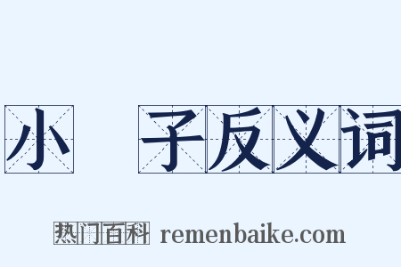 小車子反义词是什么意思的图片